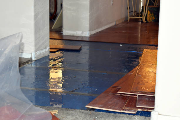 Professional Sewage Cleanup technician working in Braintree, MA